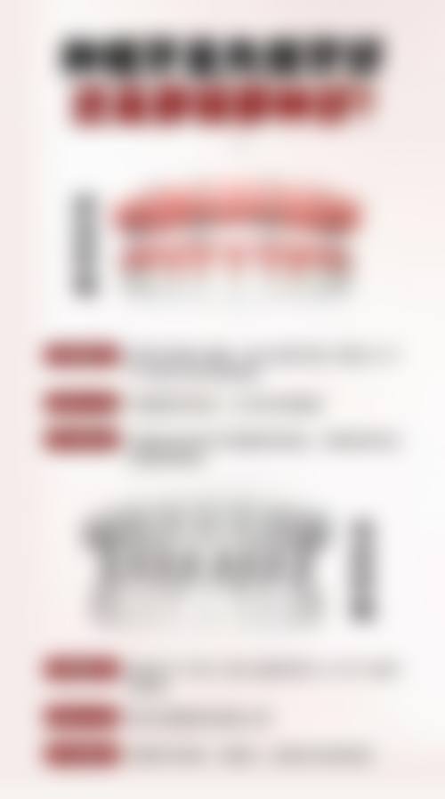 擅长项目详解