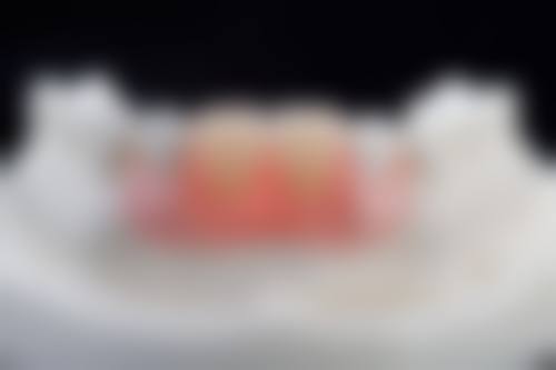 核心技术与特色项目介绍