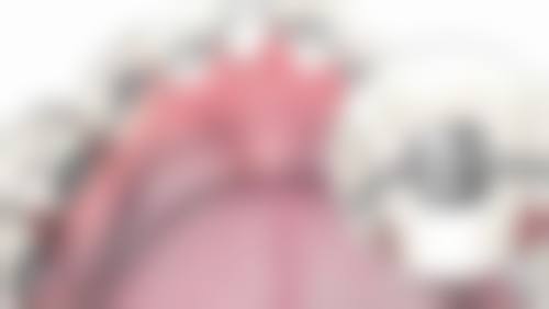 擅长项目详解