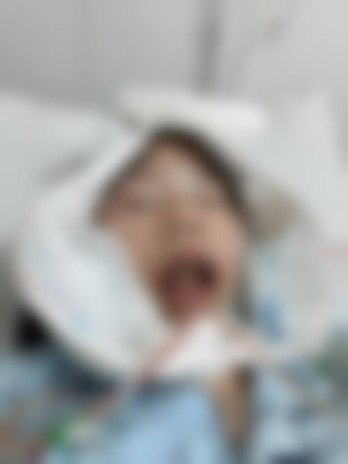 擅长项目详解