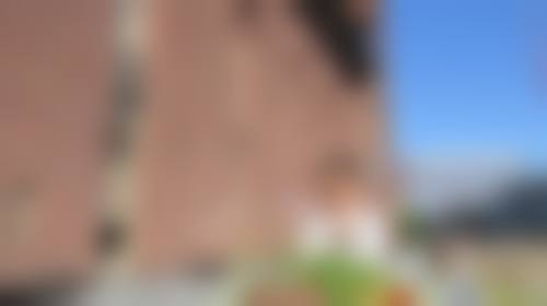 总结与预约指引