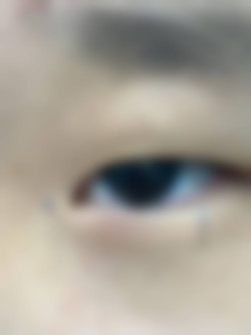 总结与预约号召