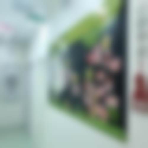 北京柠檬树口腔诊所北京柠檬树口腔诊疗室