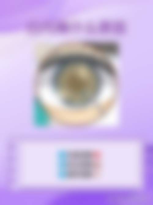 擅长项目详解