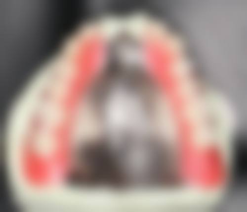 预约优惠活动