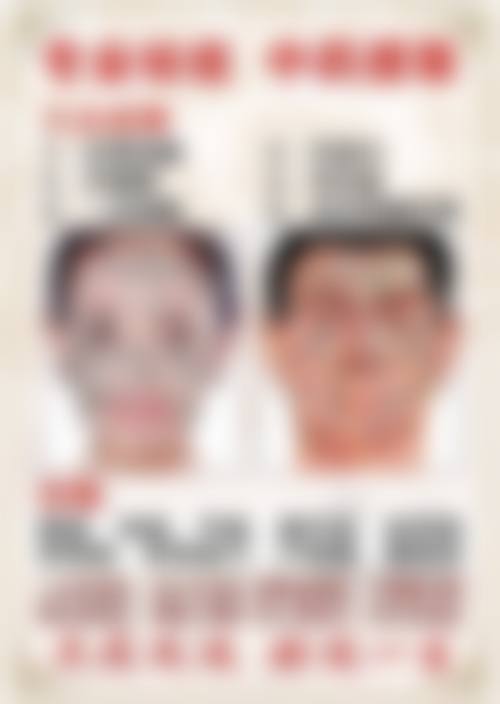 擅长项目详解