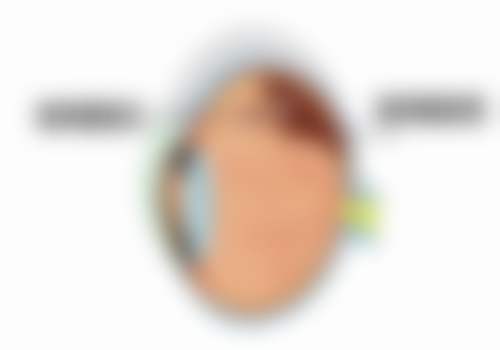 透明价格体系与便捷交通预约指南